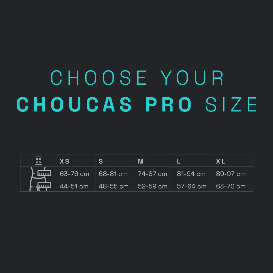 Choucas Pro Harness