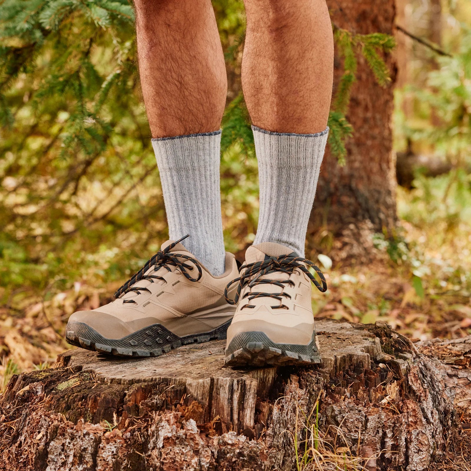 Hike Classic Edition Light Cushion Second Cut Crew Socks