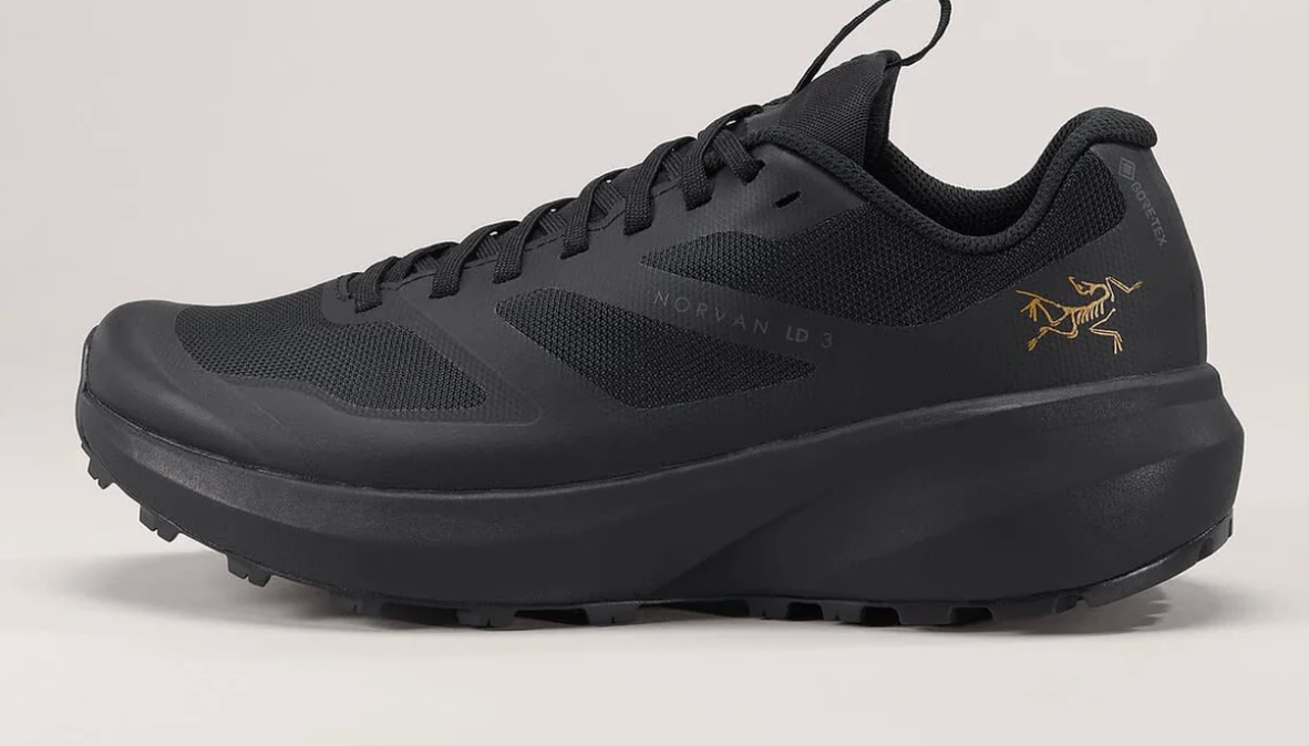 Women's Norvan LD 3 GTX Shoe