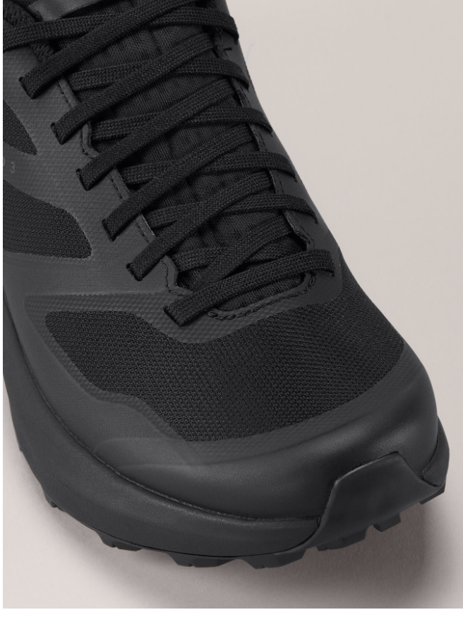 Women's Norvan LD 3 GTX Shoe