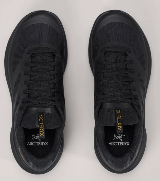 Women's Norvan LD 3 GTX Shoe