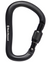 Rocklock Screwgate Carabiner