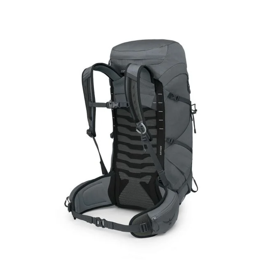 Talon 33