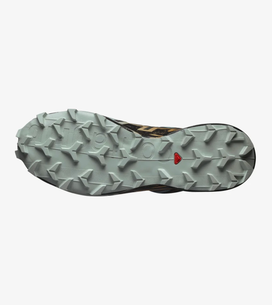 Men’s Speedcross 6 GTX