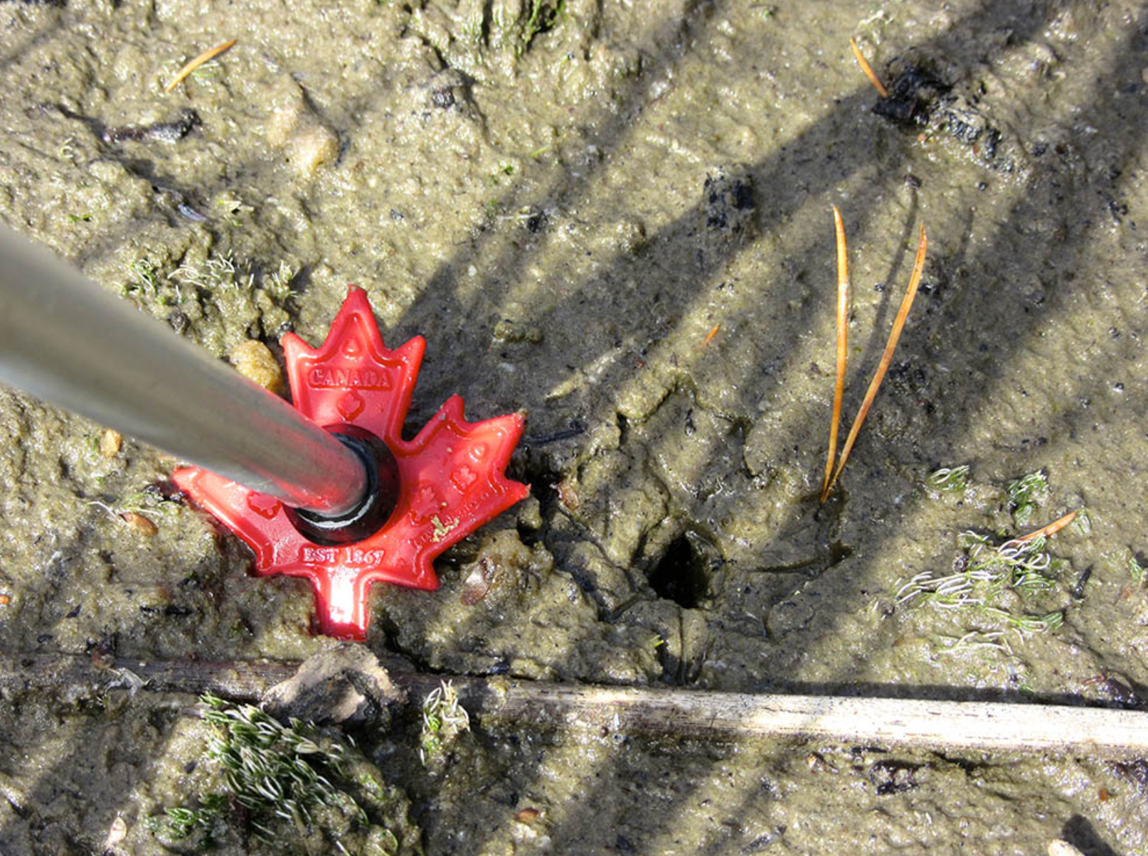 Maple Leaf Pole Basket