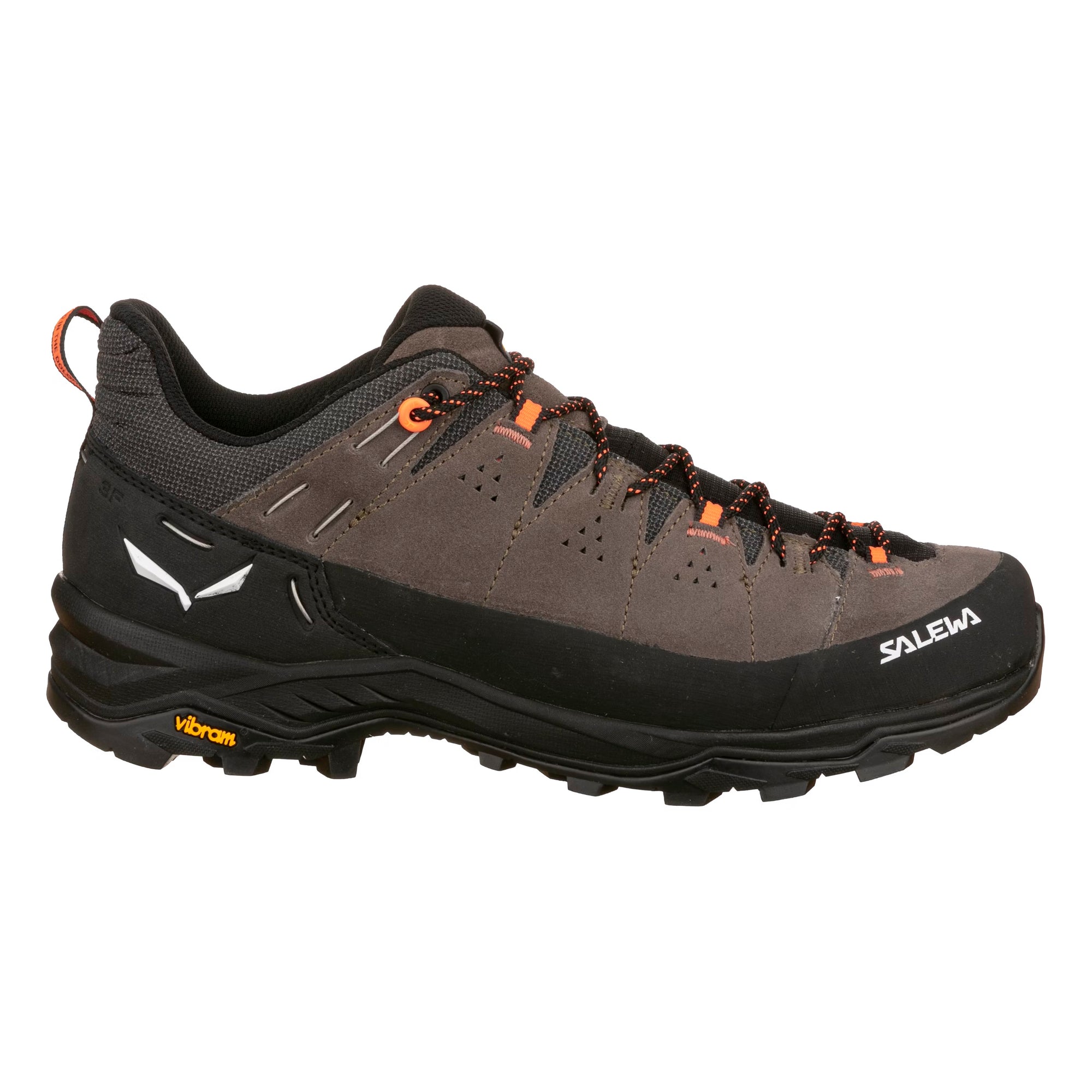 Men's Alp Trainer II Shoe