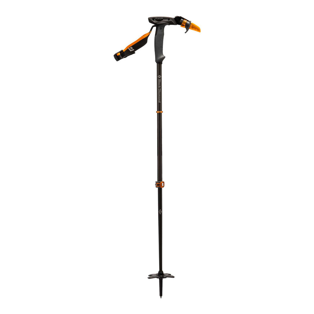 Carbon Whippet Ski Pole