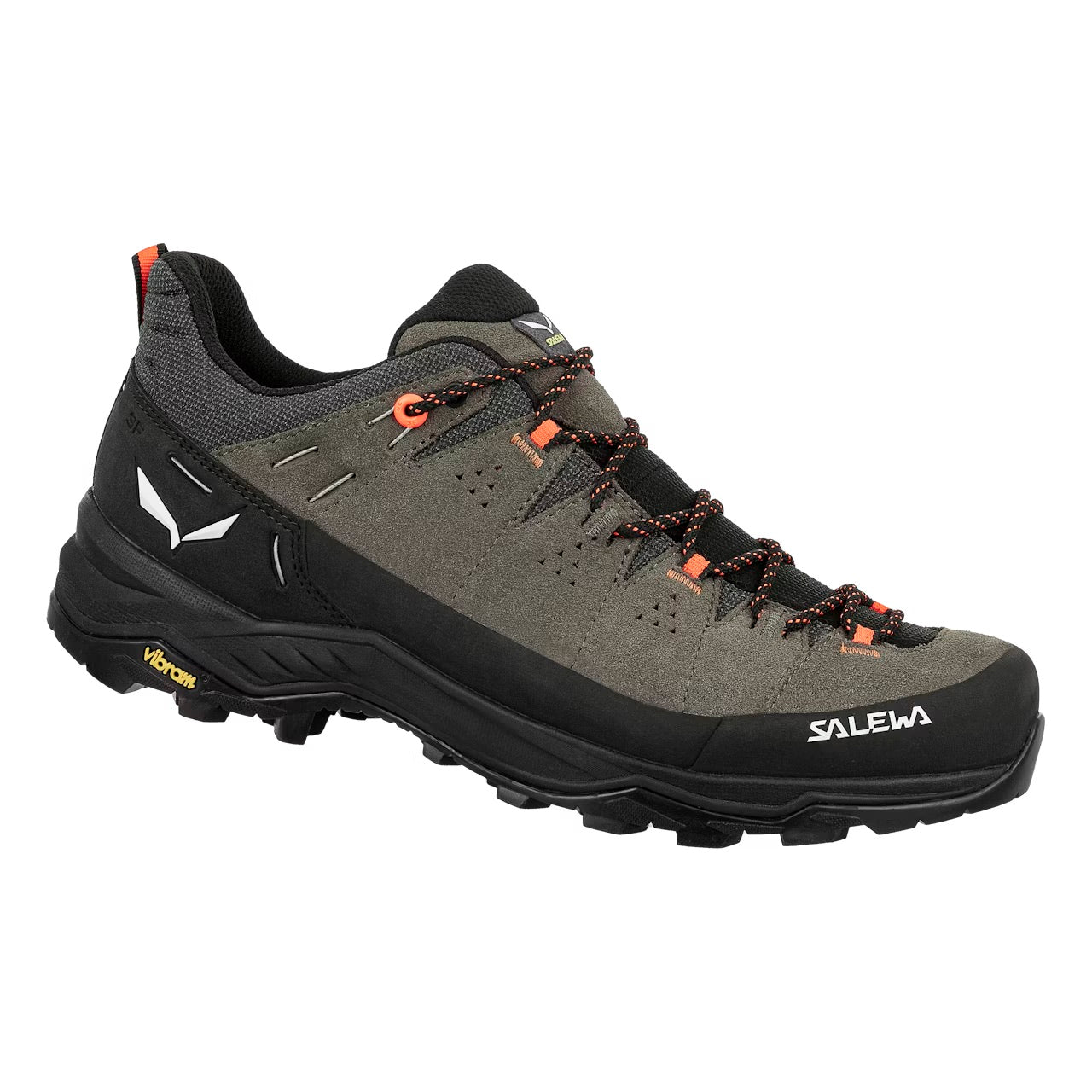 Men's Alp Trainer II Shoe