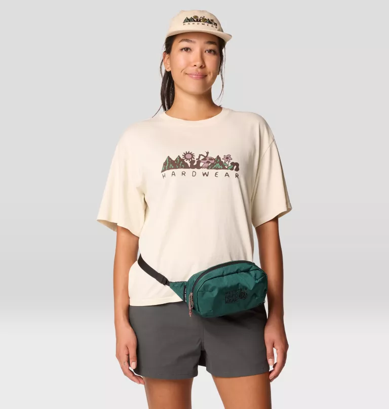 Field Day Hip Pack