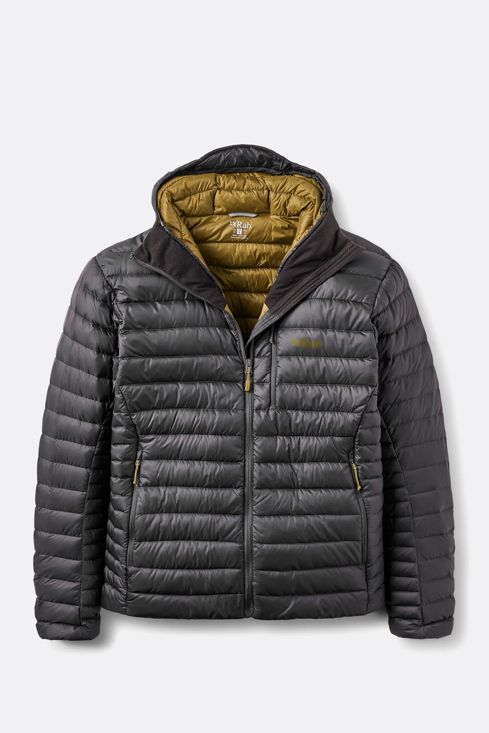 Men's Microlight Alpine Hoody