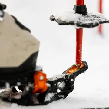 ION 10 Bindings