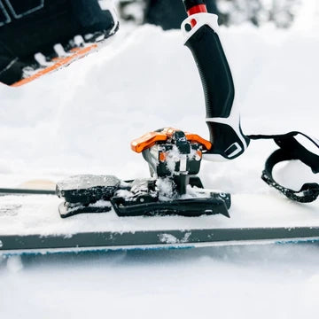 ION 10 Bindings