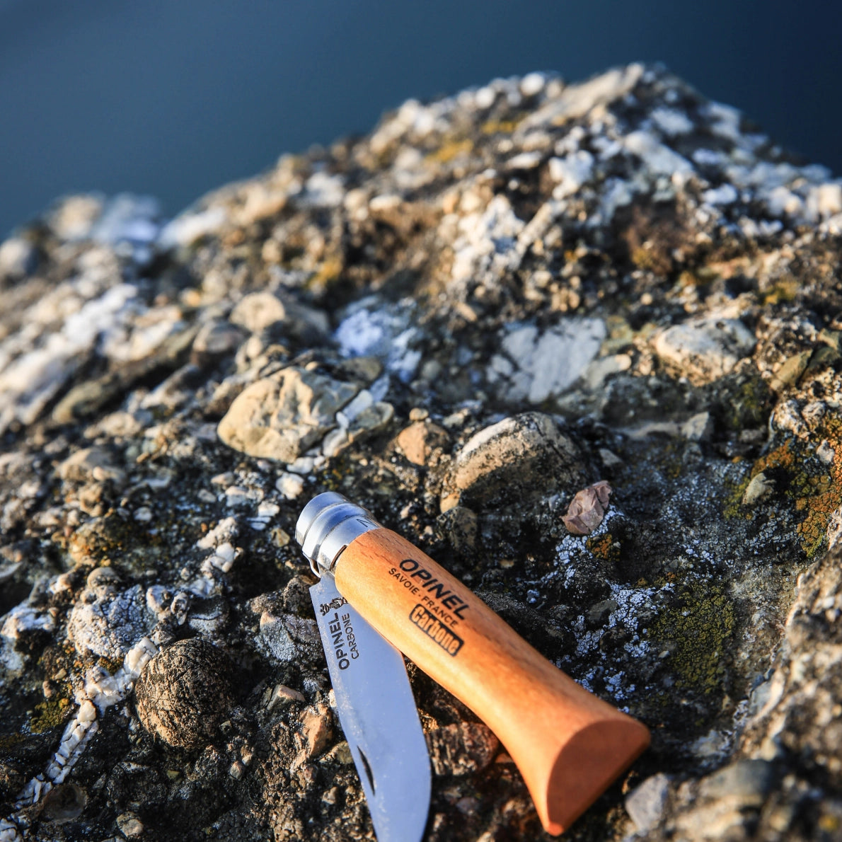N°06 Carbon Steel Folding Knife